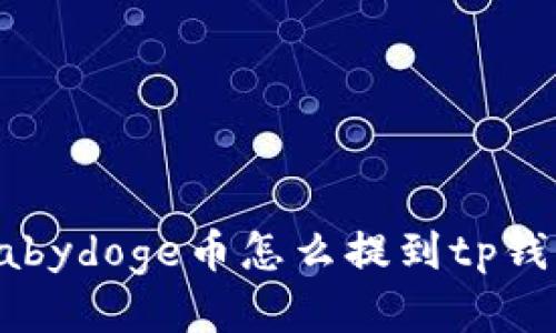 babydoge币怎么提到tp钱包