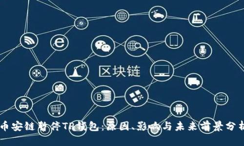 币安链暂停TP钱包：原因、影响与未来前景分析