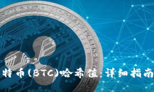 如何查询比特币(BTC)哈希值：详细指南与工具推荐
