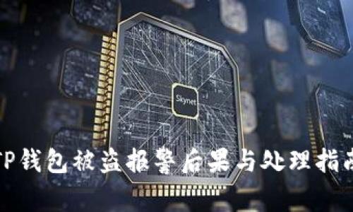 TP钱包被盗报警后果与处理指南