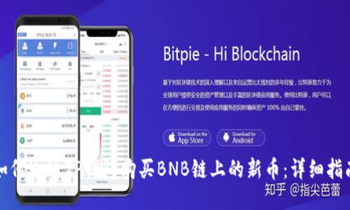 如何通过TP钱包购买BNB链上的新币：详细指南