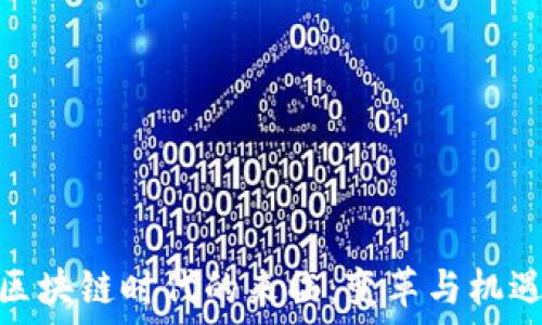   
区块链时代的来临：变革与机遇